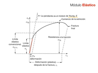 Módulo Elástico 
 