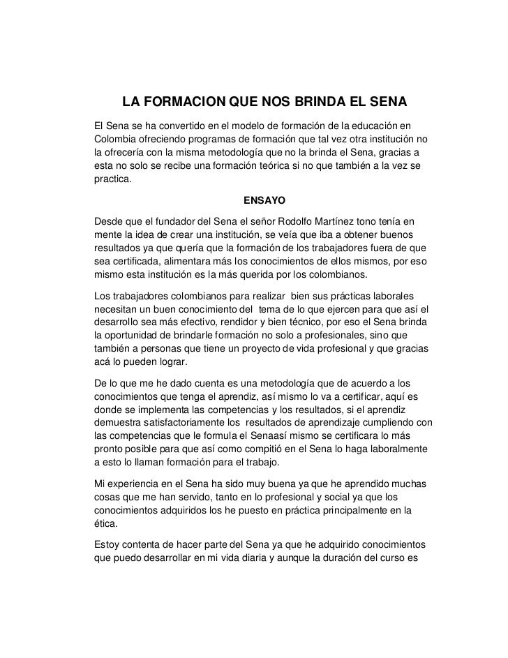 ENSAYO TICA PROFESIONAL
