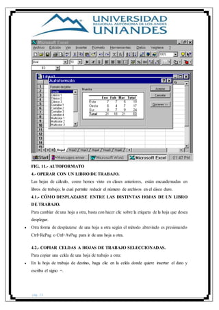 pág. 23
FIG. 11.- AUTOFORMATO
4.- OPERAR CON UN LIBRO DE TRABAJO.
Las hojas de cálculo, como hemos visto en clases anteriores, están encuadernadas en
libros de trabajo, lo cual permite reducir el número de archivos en el disco duro.
4.1.- CÓMO DESPLAZARSE ENTRE LAS DISTINTAS HOJAS DE UN LIBRO
DE TRABAJO.
Para cambiar de una hoja a otra, basta con hacer clic sobre la etiqueta de la hoja que desea
desplegar.
 Otra forma de desplazarse de una hoja a otra según el método abreviado es presionando
Ctrl+RePag o Ctrl+AvPag para ir de una hoja a otra.
4.2.- COPIAR CELDAS A HOJAS DE TRABAJO SELECCIONADAS.
Para copiar una celda de una hoja de trabajo a otra:
 En la hoja de trabajo de destino, haga clic en la celda donde quiere insertar el dato y
escriba el signo =.
 