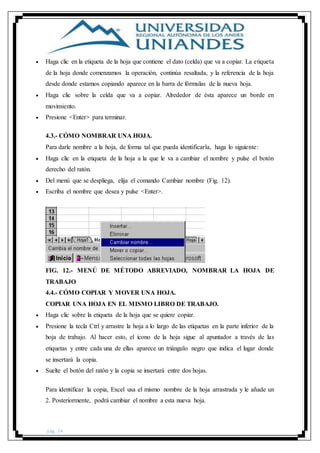 pág. 24
 Haga clic en la etiqueta de la hoja que contiene el dato (celda) que va a copiar. La etiqueta
de la hoja donde comenzamos la operación, continúa resaltada, y la referencia de la hoja
desde donde estamos copiando aparece en la barra de fórmulas de la nueva hoja.
 Haga clic sobre la celda que va a copiar. Alrededor de ésta aparece un borde en
movimiento.
 Presione <Enter> para terminar.
4.3.- CÓMO NOMBRAR UNA HOJA.
Para darle nombre a la hoja, de forma tal que pueda identificarla, haga lo siguiente:
 Haga clic en la etiqueta de la hoja a la que le va a cambiar el nombre y pulse el botón
derecho del ratón.
 Del menú que se despliega, elija el comando Cambiar nombre (Fig. 12).
 Escriba el nombre que desea y pulse <Enter>.
FIG. 12.- MENÚ DE MÉTODO ABREVIADO, NOMBRAR LA HOJA DE
TRABAJO
4.4.- CÓMO COPIAR Y MOVER UNA HOJA.
COPIAR UNA HOJA EN EL MISMO LIBRO DE TRABAJO.
 Haga clic sobre la etiqueta de la hoja que se quiere copiar.
 Presione la tecla Ctrl y arrastre la hoja a lo largo de las etiquetas en la parte inferior de la
hoja de trabajo. Al hacer esto, el icono de la hoja sigue al apuntador a través de las
etiquetas y entre cada una de ellas aparece un triángulo negro que indica el lugar donde
se insertará la copia.
 Suelte el botón del ratón y la copia se insertará entre dos hojas.
Para identificar la copia, Excel usa el mismo nombre de la hoja arrastrada y le añade un
2. Posteriormente, podrá cambiar el nombre a esta nueva hoja.
 