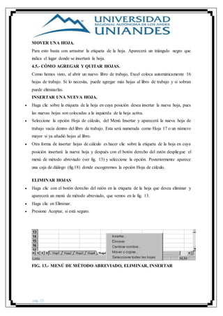 pág. 25
MOVER UNA HOJA.
Para esto basta con arrastrar la etiqueta de la hoja. Aparecerá un triángulo negro que
indica el lugar donde se insertará la hoja.
4.5.- CÓMO AGREGAR Y QUITAR HOJAS.
Como hemos visto, al abrir un nuevo libro de trabajo, Excel coloca automáticamente 16
hojas de trabajo. Si lo necesita, puede agregar más hojas al libro de trabajo y si sobran
puede eliminarlas.
INSERTAR UNA NUEVA HOJA.
 Haga clic sobre la etiqueta de la hoja en cuya posición desea insertar la nueva hoja, pues
las nuevas hojas son colocadas a la izquierda de la hoja activa.
 Seleccione la opción Hoja de cálculo, del Menú Insertar y aparecerá la nueva hoja de
trabajo vacía dentro del libro de trabajo. Esta será numerada como Hoja 17 o un número
mayor si ya añadió hojas al libro.
 Otra forma de insertar hojas de cálculo es hacer clic sobre la etiqueta de la hoja en cuya
posición insertará la nueva hoja y después con el botón derecho del ratón despliegue el
menú de método abreviado (ver fig. 13) y seleccione la opción. Posteriormente aparece
una caja de diálogo (fig.18) donde escogeremos la opción Hoja de cálculo.
ELIMINAR HOJAS
 Haga clic con el botón derecho del ratón en la etiqueta de la hoja que desea eliminar y
aparecerá un menú de método abreviado, que vemos en la fig. 13.
 Haga clic en Eliminar.
 Presione Aceptar, si está seguro.
FIG. 13.- MENÚ DE MÉTODO ABREVIADO, ELIMINAR, INSERTAR
 