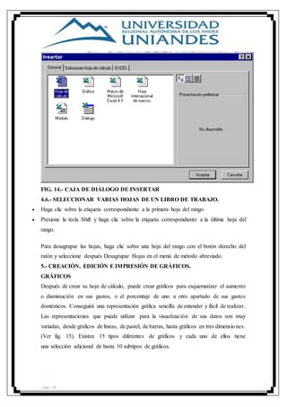 pág. 26
FIG. 14.- CAJA DE DIÁLOGO DE INSERTAR
4.6.- SELECCIONAR VARIAS HOJAS DE UN LIBRO DE TRABAJO.
 Haga clic sobre la etiqueta correspondiente a la primera hoja del rango.
 Presione la tecla Shift y haga clic sobre la etiqueta correspondiente a la última hoja del
rango.
Para desagrupar las hojas, haga clic sobre una hoja del rango con el botón derecho del
ratón y seleccione después Desagrupar Hojas en el menú de método abreviado.
5.- CREACIÓN, EDICIÓN E IMPRESIÓN DE GRÁFICOS.
GRÁFICOS
Después de crear su hoja de cálculo, puede crear gráficos para esquematizar el aumento
o disminución en sus gastos, o el porcentaje de uno u otro apartado de sus gastos
domésticos. Conseguirá una representación gráfica sencilla de entender y fácil de realizar.
Las representaciones que puede utilizar para la visualización de sus datos son muy
variadas, desde gráficos de líneas, de pastel, de barras, hasta gráficos en tres dimensiones.
(Ver fig. 15). Existen 15 tipos diferentes de gráficos y cada uno de ellos tiene
una selección adicional de hasta 10 subtipos de gráficos.
 