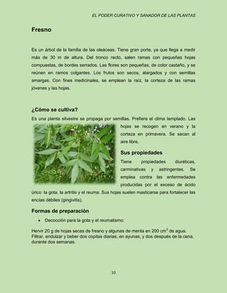 EL PODER CURATIVO Y SANADOR DE LAS PLANTAS

Fresno

Es un árbol de la familia de las oleáceas. Tiene gran porte, ya que llega a medir
más de 30 m de altura. Del tronco recto, salen ramas con pequeñas hojas
compuestas, de bordes serrados. Las flores son pequeñas, de color castaño, y se
reúnen en ramos colgantes. Los frutos son secos, alargados y con semillas
amargas. Con fines medicinales, se emplean la raíz, la corteza de las ramas
jóvenes y las hojas.

¿Cómo se cultiva?
Es una planta silvestre se propaga por semillas. Prefiere el clima templado. Las
hojas se recogen en verano y la
corteza en primavera. Se secan al
aire libre.

Sus propiedades
Tiene

propiedades

carminativas
emplea

y

contra

diuréticas,

astringentes.
las

Se

enfermedades

producidas por el exceso de ácido
úrico: la gota, la artritis y el reuma. Sus hojas suelen masticarse para fortalecer las
encías débiles (gingivitis).

Formas de preparación
Decocción para la gota y el reumatismo:
Hervir 20 g de hojas secas de fresno y algunas de menta en 200 cm3 de agua.
Filtrar, endulzar y beber dos copitas diarias, en ayunas, y dos después de la cena,
durante dos semanas.

10

 