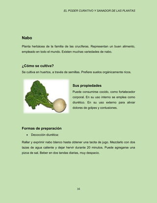 EL PODER CURATIVO Y SANADOR DE LAS PLANTAS

Nabo
Planta herbácea de la familia de las crucíferas. Representan un buen alimento,
empleado en todo el mundo. Existen muchas variedades de nabo.

¿Cómo se cultiva?
Se cultiva en huertos, a través de semillas. Prefiere suelos orgánicamente ricos.

Sus propiedades
Puede consumirse cocido, como fortalecedor
corporal. En su uso interno se emplea como
diurético. En su uso externo para aliviar
dolores de golpes y contusiones.

Formas de preparación
Decocción diurética:
Rallar y exprimir nabo blanco hasta obtener una tacita de jugo. Mezclarlo con dos
tazas de agua caliente y dejar hervir durante 20 minutos. Puede agregarse una
pizca de sal. Beber en dos tandas diarias, muy despacio.

16

 