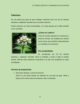 EL PODER CURATIVO Y SANADOR DE LAS PLANTAS

Valeriana
Es una planta que goza de gran prestigio medicinal como uno de los mejores
sedantes y relajantes naturales que no produce adicción.
Puede cultivarse con fines ornamentales, y en otras épocas se la utilizo también
como cosmético.

¿Cómo se cultiva?
Crece de manera silvestre en condiciones y
terrenos húmedo. Se multiplica por división
de las raíces, pero también puede plantarse
con semillas en la primavera.

Sus propiedades
Es

considerada

uno

de

los

mejores

sedantes y relajantes naturales: alivia la ansiedad y ayuda a bajar la presión
arterial. Además alivia espasmos musculares y ha sido muy empleada en casos
de epilepsia.

Formas de preparación
Decocción sedante y contra el insomnio:
Hervir 8 g de raíces frescas de valeriana en una taza de agua. Filtrar y
beber por la noche antes de acostarse, sola o endulzada.

22

 