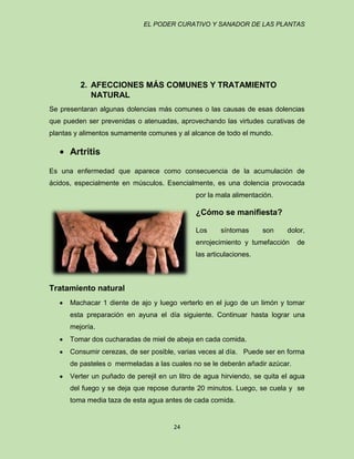 EL PODER CURATIVO Y SANADOR DE LAS PLANTAS

2. AFECCIONES MÁS COMUNES Y TRATAMIENTO
NATURAL
Se presentaran algunas dolencias más comunes o las causas de esas dolencias
que pueden ser prevenidas o atenuadas, aprovechando las virtudes curativas de
plantas y alimentos sumamente comunes y al alcance de todo el mundo.

Artritis
Es una enfermedad que aparece como consecuencia de la acumulación de
ácidos, especialmente en músculos. Esencialmente, es una dolencia provocada
por la mala alimentación.

¿Cómo se manifiesta?
Los

síntomas

son

dolor,

enrojecimiento y tumefacción

de

las articulaciones.

Tratamiento natural
Machacar 1 diente de ajo y luego verterlo en el jugo de un limón y tomar
esta preparación en ayuna el día siguiente. Continuar hasta lograr una
mejoría.
Tomar dos cucharadas de miel de abeja en cada comida.
Consumir cerezas, de ser posible, varias veces al día. Puede ser en forma
de pasteles o mermeladas a las cuales no se le deberán añadir azúcar.
Verter un puñado de perejil en un litro de agua hirviendo, se quita el agua
del fuego y se deja que repose durante 20 minutos. Luego, se cuela y se
toma media taza de esta agua antes de cada comida.

24

 