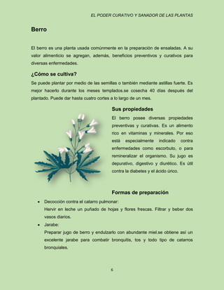 EL PODER CURATIVO Y SANADOR DE LAS PLANTAS

Berro
El berro es una planta usada comúnmente en la preparación de ensaladas. A su
valor alimenticio se agregan, además, beneficios preventivos y curativos para
diversas enfermedades.

¿Cómo se cultiva?
Se puede plantar por medio de las semillas o también mediante astillas fuerte. Es
mejor hacerlo durante los meses templados.se cosecha 40 días después del
plantado. Puede dar hasta cuatro cortes a lo largo de un mes.

Sus propiedades
El berro posee diversas propiedades
preventivas y curativas. Es un alimento
rico en vitaminas y minerales. Por eso
está

especialmente

indicado

contra

enfermedades como escorbuto, o para
remineralizar el organismo. Su jugo es
depurativo, digestivo y diurético. Es útil
contra la diabetes y el ácido úrico.

Formas de preparación
Decocción contra el catarro pulmonar:
Hervir en leche un puñado de hojas y flores frescas. Filtrar y beber dos
vasos diarios.
Jarabe:
Preparar jugo de berro y endulzarlo con abundante miel.se obtiene así un
excelente jarabe para combatir bronquitis, tos y todo tipo de catarros
bronquiales.

6

 