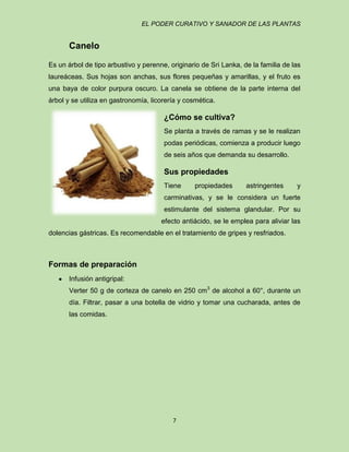 EL PODER CURATIVO Y SANADOR DE LAS PLANTAS

Canelo
Es un árbol de tipo arbustivo y perenne, originario de Sri Lanka, de la familia de las
laureáceas. Sus hojas son anchas, sus flores pequeñas y amarillas, y el fruto es
una baya de color purpura oscuro. La canela se obtiene de la parte interna del
árbol y se utiliza en gastronomía, licorería y cosmética.

¿Cómo se cultiva?
Se planta a través de ramas y se le realizan
podas periódicas, comienza a producir luego
de seis años que demanda su desarrollo.

Sus propiedades
Tiene

propiedades

astringentes

y

carminativas, y se le considera un fuerte
estimulante del sistema glandular. Por su
efecto antiácido, se le emplea para aliviar las
dolencias gástricas. Es recomendable en el tratamiento de gripes y resfriados.

Formas de preparación
Infusión antigripal:
Verter 50 g de corteza de canelo en 250 cm3 de alcohol a 60°, durante un
día. Filtrar, pasar a una botella de vidrio y tomar una cucharada, antes de
las comidas.

7

 