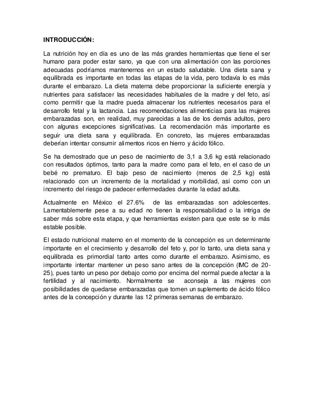 Ensayo Final