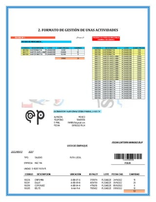 4
2. FORMATO DE GESTIÓN DE UNAS ACTIVIDADES
 