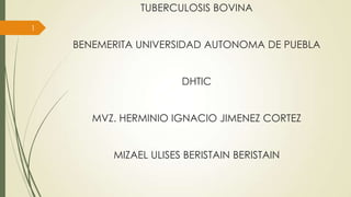 TUBERCULOSIS BOVINA
1

BENEMERITA UNIVERSIDAD AUTONOMA DE PUEBLA
DHTIC
MVZ. HERMINIO IGNACIO JIMENEZ CORTEZ

MIZAEL ULISES BERISTAIN BERISTAIN

 