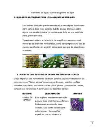 3
Suministro de agua y bomba recogedora de agua.
1.1 LUGARES ADECUADOSPARA LOS JARDINESVERTICALES.
Los Jardines Verticales pueden ser colocados en cualquier tipo de muro
plano como la tabla roca, concreto, ladrillo, tabique o también sobre
alguna reja o malla ciclónica, no precisamente debe ser una superficie
plana, puede ser curva.
Y puede ser instalado en la fachada de un edificio o una casa, en el
interior de los anteriores mencionados, como por ejemplo en una sala de
espera, una oficina o en un jardín común para que vaya de acuerdo con
su entorno.
2. PLANTAS QUE SE UTILIZAN EN LOS JARDINES VERTICALES
El tipo de plantas que normalmente se utilizan para los Jardines Verticales son las
conocidas como “Plantas aéreas” como musgos, líquenes, helechos, epifitas,
bromelias y orquídeas; también se pueden utilizar plantas como crasulas, sedum,
echeverrias o karanchoes. A continuación se describen algunas:
NOMBRE DESCRIPCIÓN IMAGEN
1.- NIÑA EN
BARCO
Esta es planta muy hermosa de color
purpura, logra emitir hermosas flores a
finales de verano de color rosa-
violáceo. Esta planta es ideal para
cubrir terrenos de pequeñas
superficies, secas, húmedas o
 