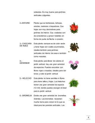 4
soleadas. Es muy buena para jardines
verticales colgantes.
2.-ANTURIO Planta que es herbáceas, leñosas,
erectas, rastreras o trepadoras. Sus
hojas son muy decorativas para
jardines de interior. Sus ovaladas son
de consistencia y grosor notables en
forma de punta de flecha o corazón.
3.- CASCARA
DE NUEZ
Esta planta siempre es de color verde
y tiene hojas son ovales acuminadas,
ideales también para jardines
verticales de interior de casa o también
como macetas.
4.-
GERANIUM
Esta planta para llenar de colores el
jardín vertical, hay una gran variedad
de especies. Puedes encontrar con
flores rojas o rosadas, ideales para dar
tonos y color al jardín vertical
5.- HELECHO Esta planta no tiene semillas ni flores
pero tiene tallos y hojas. Los helechos
tienen una gran variedad de especie
(12 mil) donde puedes escoger el ideal
para tu jardín vertical.
6.- BROMELIA Existe una gran variedad de bromelias
distintas. Las bromelias necesitan
mucha tierra para crecer en lo que es
ideal para las paredes verticales. Las
 