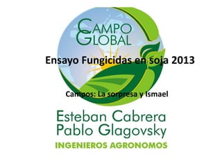 Ensayo Fungicidas en soja 2013
Campos: La sorpresa y Ismael
 
