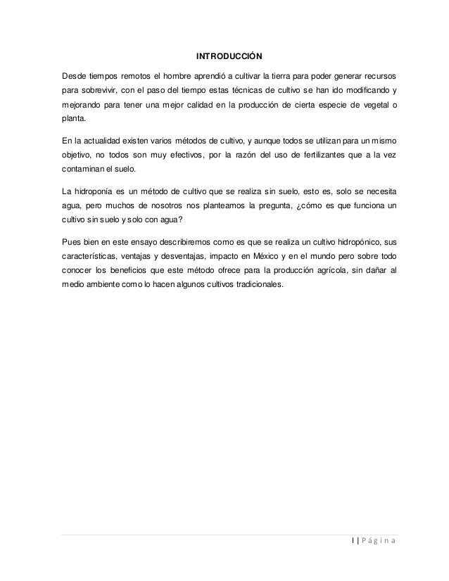 Hidroponia Introduccion