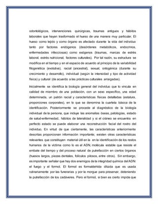 odontológicos, intervenciones quirúrgicas, traumas antiguos y hábitos
laborales que hayan trasformado el hueso de una manera muy particular. El
hueso como tejido y como órgano es afectado durante la vida del individuo
tanto por factores endógenos (desórdenes metabólicos, endocrinos,
enfermedades infecciosas) como exógenos (traumas, marcas de estrés
laboral, estrés nutricional, factores culturales). Por tal razón, su estructura se
modifica en el tiempo y en el espacio de acuerdo al principio de la variabilidad
filogenética (evolutiva), racial (ancestral), sexual, ontogénica (durante su
crecimiento y desarrollo), individual (según la intensidad y tipo de actividad
física) y cultural (de acuerdo a las prácticas culturales arraigadas).
Inicialmente se identifica la biología general del individuo que lo vincula en
calidad de miembro de una población, con un sexo específico, una edad
determinada, un patrón racial y características físicas detalladas (estatura,
proporciones corporales), en lo que se denomina la cuarteta básica de la
identificación. Posteriormente se procede al diagnóstico de la biología
individual de la persona, que incluye las anomalías óseas, patologías, estado
de salud-enfermedad, hábitos de lateralidad y si el cráneo se encuentra en
perfecto estado se puede elaborar una reconstrucción facial del rostro del
individuo. En virtud de que ciertamente, las características anteriormente
descritas proporcionan información importante; existen otras características
relevantes que constituyen material útil en la en la identificación de los restos
humanos de la víctima como lo es el ADN, molécula estable que resiste el
embate del tiempo y del proceso natural de putrefacción en ciertos órganos
(huesos largos, piezas dentales, folículos pilosos, entre otros). Sin embargo,
es importante señalar que hay dos enemigos de la integridad química del ADN:
el fuego y el formol. El formol es formaldehída diluida que es usada
rutinariamente por las funerarias y por la morgue para preservar, deteniendo
la putrefacción de los cadáveres. Pero el formol, si bien es cierto impide que
 