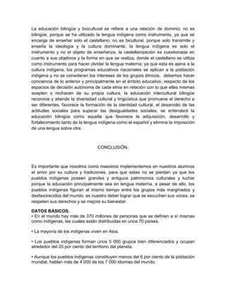 Ensayo interculturalidad.