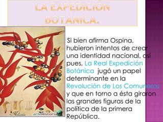 Si bien afirma Ospina,
hubieron intentos de crear
una identidad nacional, así
pues, La Real Expedición
Botánica jugó un papel
determinante en la
Revolución de Los Comuneros
y que en torno a ésta giraron
las grandes figuras de la
política de la primera
República.
 