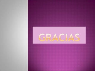 Ensayo la franja amarilla