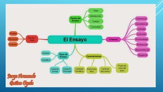 Ensayo mapa mental