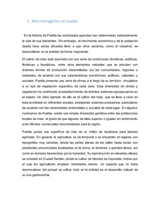1. Maíz transgénico en puebla
En la historia de Puebla las actividades agrícolas han determinado estrechamente
la vida de sus habitantes. Sin embargo, el crecimiento económico y de la población
desde hace varias décadas llevó a que otros sectores, como el industrial, se
desarrollaran en la entidad de forma importante.
El cultivo de maíz está asociado con una serie de condiciones climáticas, edáficas,
florísticas y faunísticas, entre otros elementos naturales que se articulan con
diversas formas de producción desarrolladas por las comunidades, regiones o
entidades, de acuerdo con sus características económicas, políticas, culturales y
sociales. Puebla presenta una serie de climas a lo largo de su territorio vinculados
a un tipo de vegetación específico de cada zona. Esta diversidad de climas y
vegetación ha contribuido al establecimiento de distintos sistemas agropecuarios en
el estado. Un claro ejemplo de ello es el cultivo del maíz, que se lleva a cabo en
toda la entidad en diferentes escalas, empleando sistemas productivos particulares
de acuerdo con las necesidades ambientales y sociales de cada lugar. En algunos
municipios de Puebla, existe una amplia diversidad genética entre las poblaciones
locales de maíz, al grado de que algunas de ellas superan o igualan en rendimiento
a los híbridos comerciales recomendados para la región.
Puebla posee una superficie de más de un millón de hectáreas para labores
agrícolas. En general, la agricultura es de temporal y se encuentra en lugares con
topografías muy variadas, desde las partes planas de los valles hasta zonas con
pendientes pronunciadas localizadas en la sierra, en lomeríos y grandes llanos, así
como en terrenos favorecidos por la humedad. Su reproducción en elevadas alturas
se constató en Ciudad Serdán, donde el cultivo de híbridos es imposible, motivo por
el cual los agricultores emplean variedades nativas. Un aspecto que no debe
desvincularse del porqué se cultiva maíz en la entidad es el desarrollo cultural de
su rica gastronomía.
 