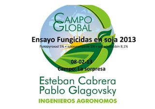 Ensayo Fungicidas en soja 2013
fluxapyroxad 5% + epoxyconazole 5% + pyraclostrobin 8,1%
08-02-13
Campo: La sorpresa
 
