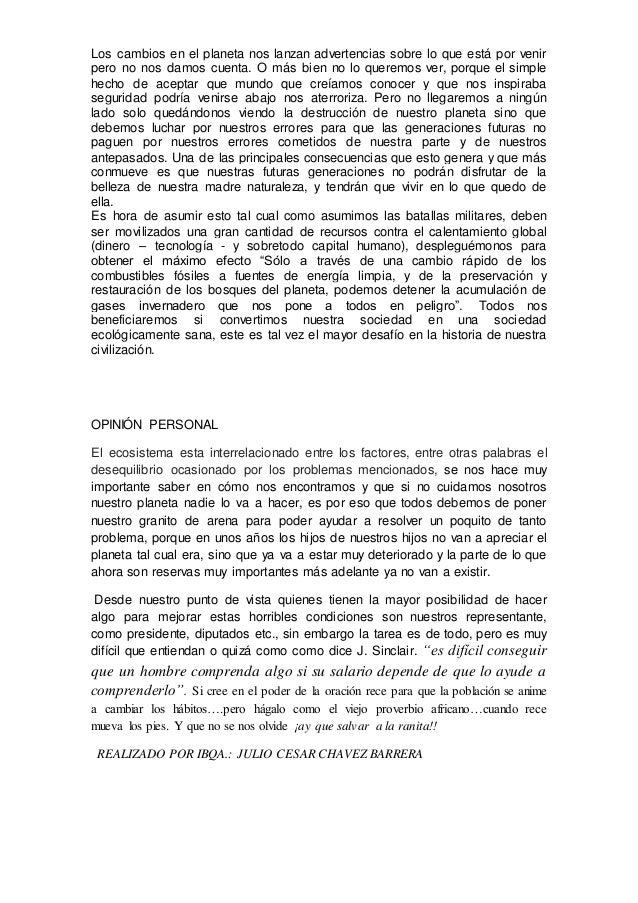 Ambiental essay 07 picture