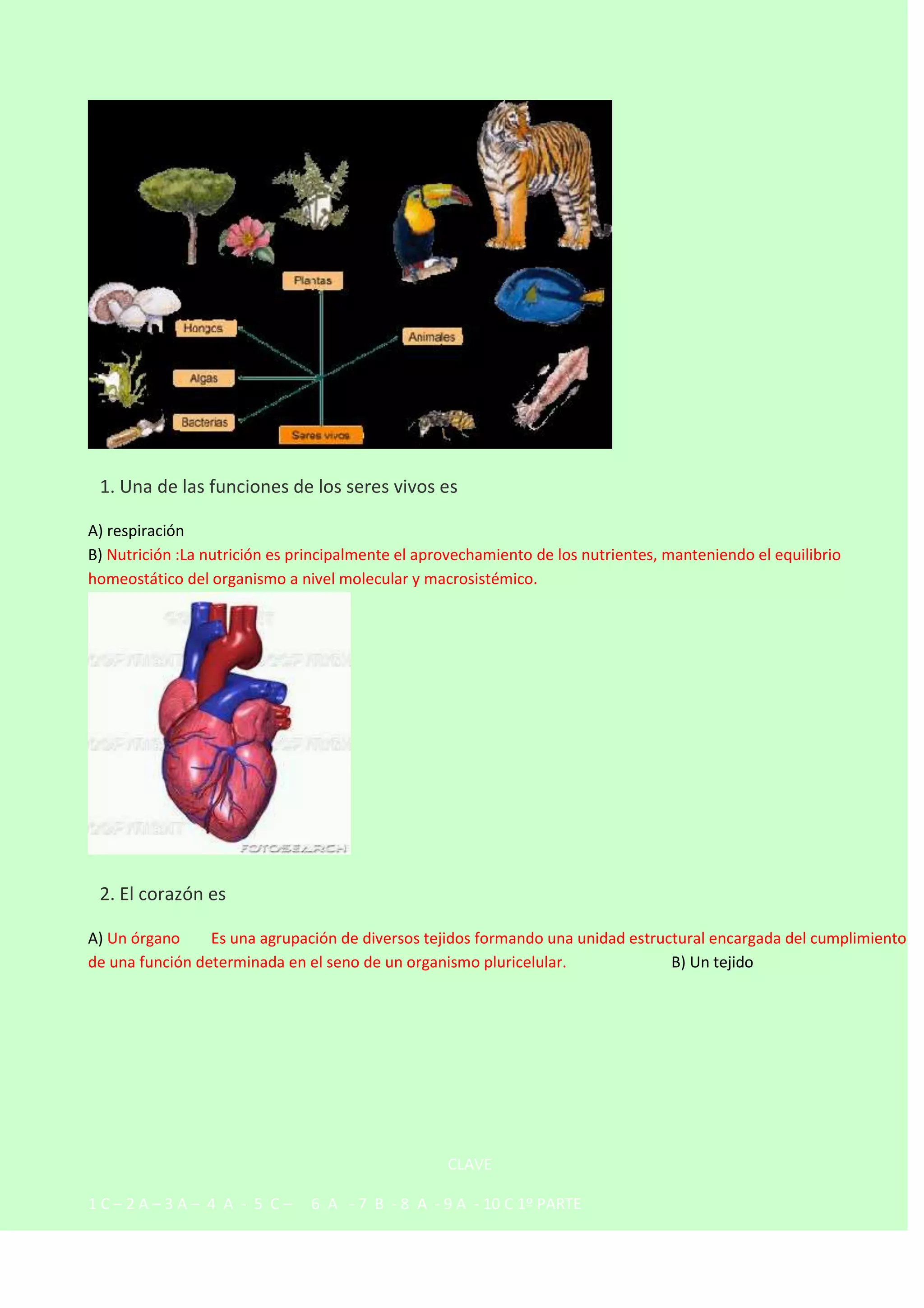 

1. Una de las funciones de los seres vivos es
A) respiración
B) Nutrición :La nutrición es principalmente el aprovechamiento de los nutrientes, manteniendo el equilibrio
homeostático del organismo a nivel molecular y macrosistémico.



2. El corazón es
A) Un órgano
Es una agrupación de diversos tejidos formando una unidad estructural encargada del cumplimiento
de una función determinada en el seno de un organismo pluricelular.
B) Un tejido

CLAVE
1C–2A–3A– 4 A - 5 C–

6 A - 7 B - 8 A - 9 A - 10 C 1º PARTE

 