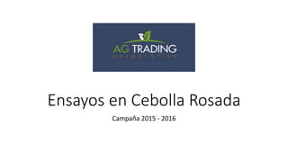Ensayos en Cebolla Rosada
Campaña 2015 - 2016
 