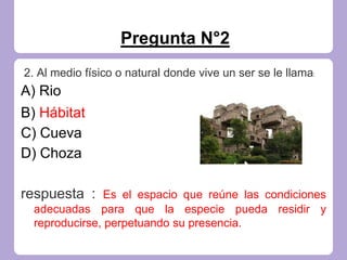 Pregunta N°2
2. Al medio físico o natural donde vive un ser se le llama:
A) Rio
B) Hábitat
C) Cueva
D) Choza
respuesta : Es el espacio que reúne las condiciones
adecuadas para que la especie pueda residir y
reproducirse, perpetuando su presencia.
 