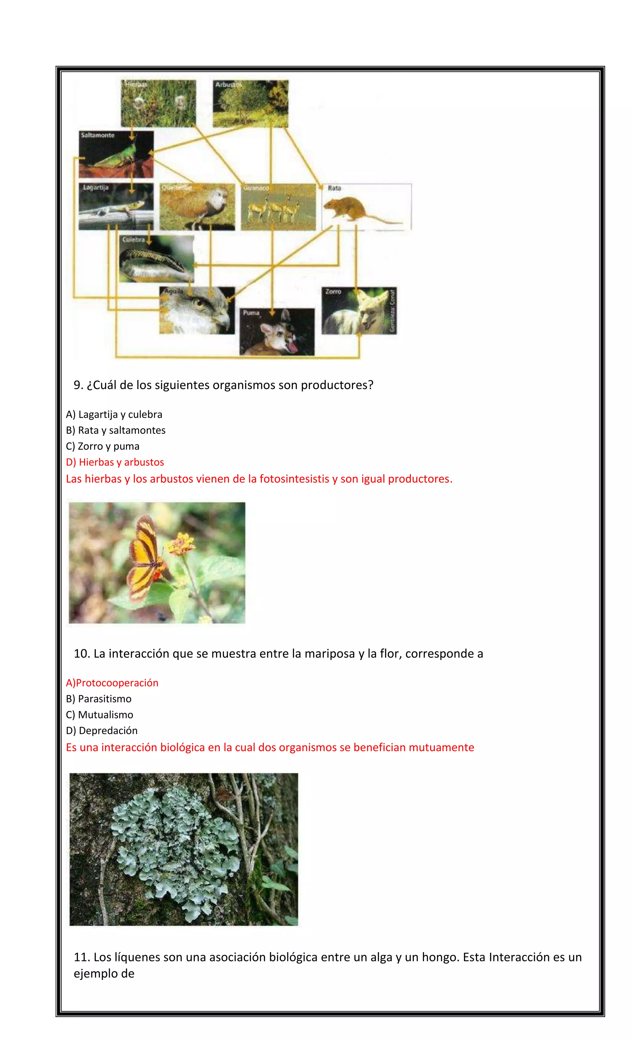 

9. ¿Cuál de los siguientes organismos son productores?
A) Lagartija y culebra
B) Rata y saltamontes
C) Zorro y puma
D) Hierbas y arbustos

Las hierbas y los arbustos vienen de la fotosintesistis y son igual productores.



10. La interacción que se muestra entre la mariposa y la flor, corresponde a
A)Protocooperación
B) Parasitismo
C) Mutualismo
D) Depredación

Es una interacción biológica en la cual dos organismos se benefician mutuamente



11. Los líquenes son una asociación biológica entre un alga y un hongo. Esta Interacción es un
ejemplo de

 