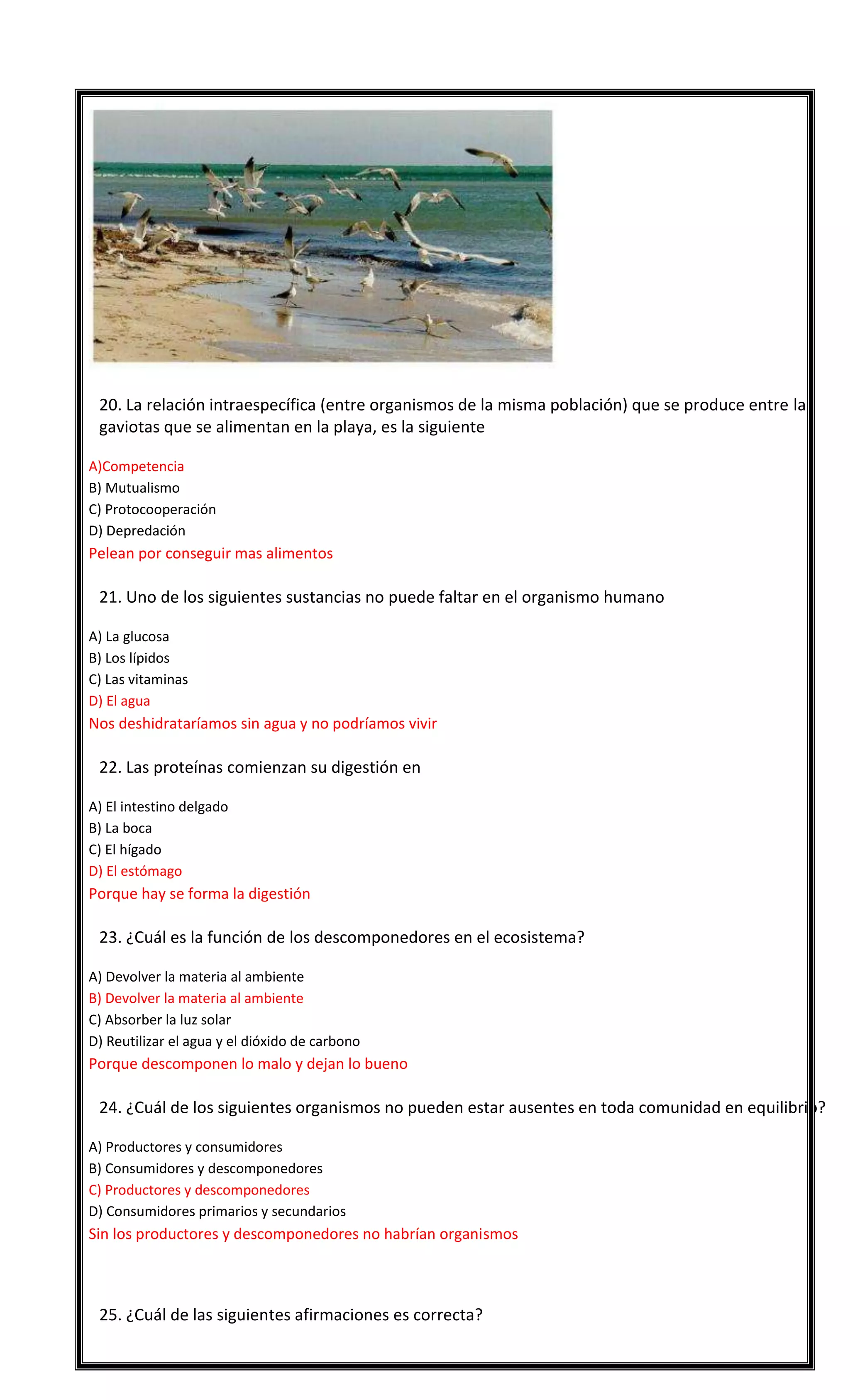 

20. La relación intraespecífica (entre organismos de la misma población) que se produce entre las
gaviotas que se alimentan en la playa, es la siguiente
A)Competencia
B) Mutualismo
C) Protocooperación
D) Depredación

Pelean por conseguir mas alimentos


21. Uno de los siguientes sustancias no puede faltar en el organismo humano
A) La glucosa
B) Los lípidos
C) Las vitaminas
D) El agua

Nos deshidrataríamos sin agua y no podríamos vivir


22. Las proteínas comienzan su digestión en
A) El intestino delgado
B) La boca
C) El hígado
D) El estómago

Porque hay se forma la digestión


23. ¿Cuál es la función de los descomponedores en el ecosistema?
A) Devolver la materia al ambiente
B) Devolver la materia al ambiente
C) Absorber la luz solar
D) Reutilizar el agua y el dióxido de carbono

Porque descomponen lo malo y dejan lo bueno


24. ¿Cuál de los siguientes organismos no pueden estar ausentes en toda comunidad en equilibrio?
A) Productores y consumidores
B) Consumidores y descomponedores
C) Productores y descomponedores
D) Consumidores primarios y secundarios

Sin los productores y descomponedores no habrían organismos



25. ¿Cuál de las siguientes afirmaciones es correcta?

 