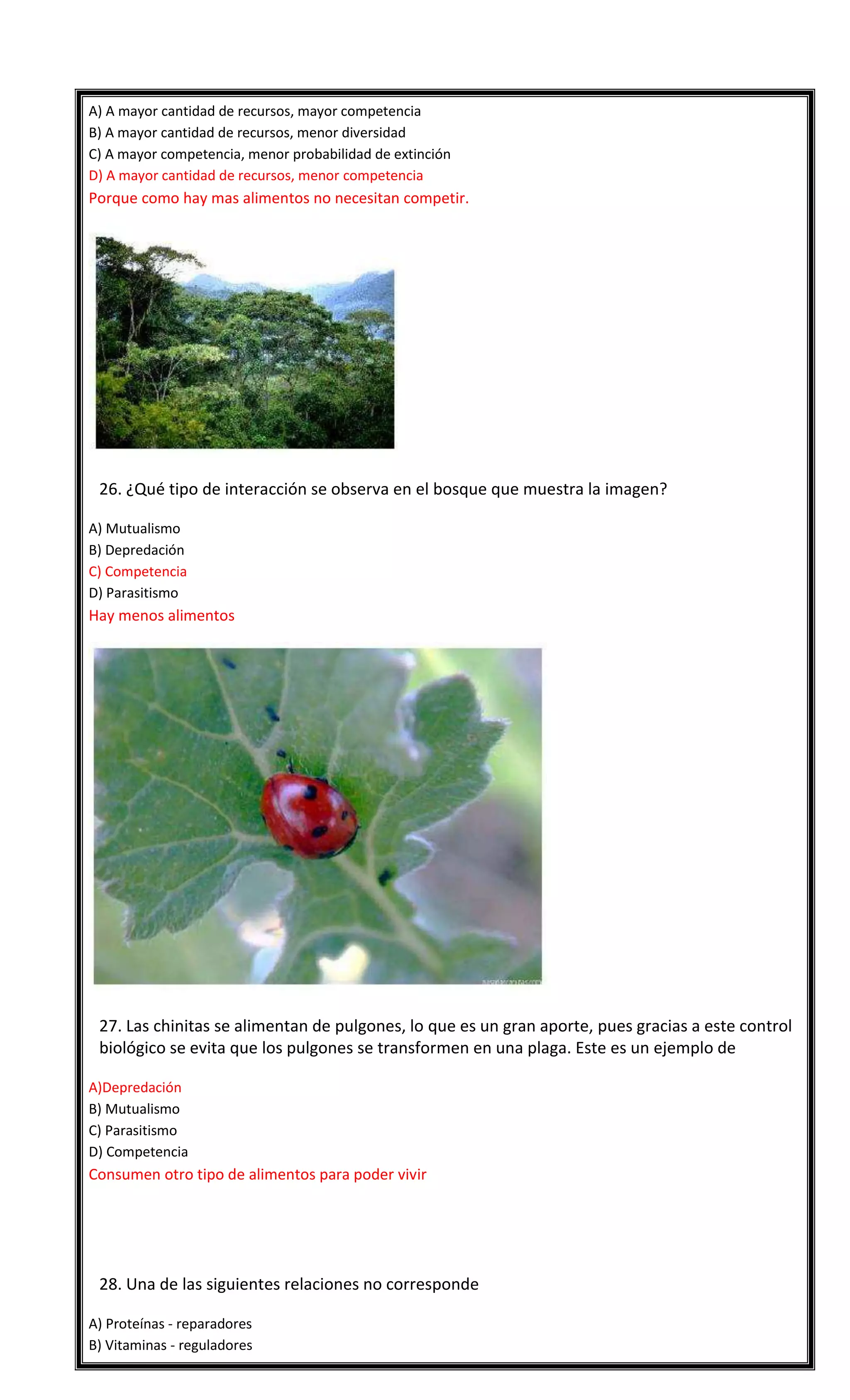 A) A mayor cantidad de recursos, mayor competencia
B) A mayor cantidad de recursos, menor diversidad
C) A mayor competencia, menor probabilidad de extinción
D) A mayor cantidad de recursos, menor competencia

Porque como hay mas alimentos no necesitan competir.



26. ¿Qué tipo de interacción se observa en el bosque que muestra la imagen?
A) Mutualismo
B) Depredación
C) Competencia
D) Parasitismo

Hay menos alimentos



27. Las chinitas se alimentan de pulgones, lo que es un gran aporte, pues gracias a este control
biológico se evita que los pulgones se transformen en una plaga. Este es un ejemplo de
A)Depredación
B) Mutualismo
C) Parasitismo
D) Competencia

Consumen otro tipo de alimentos para poder vivir





28. Una de las siguientes relaciones no corresponde
A) Proteínas - reparadores
B) Vitaminas - reguladores

 