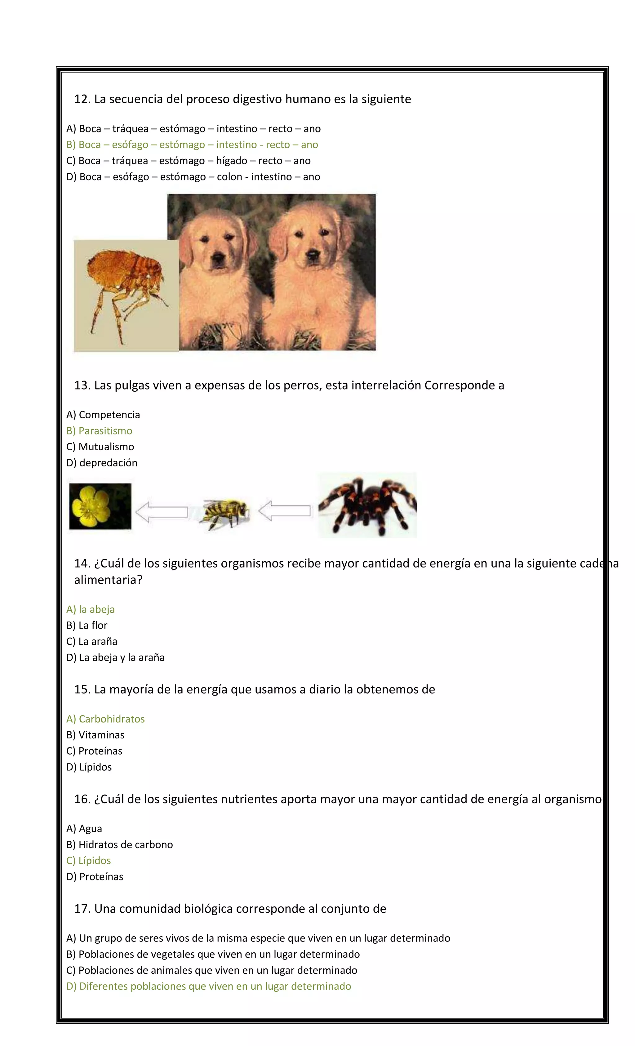 

12. La secuencia del proceso digestivo humano es la siguiente
A) Boca – tráquea – estómago – intestino – recto – ano
B) Boca – esófago – estómago – intestino - recto – ano
C) Boca – tráquea – estómago – hígado – recto – ano
D) Boca – esófago – estómago – colon - intestino – ano



13. Las pulgas viven a expensas de los perros, esta interrelación Corresponde a
A) Competencia
B) Parasitismo
C) Mutualismo
D) depredación



14. ¿Cuál de los siguientes organismos recibe mayor cantidad de energía en una la siguiente cadena
alimentaria?
A) la abeja
B) La flor
C) La araña
D) La abeja y la araña



15. La mayoría de la energía que usamos a diario la obtenemos de
A) Carbohidratos
B) Vitaminas
C) Proteínas
D) Lípidos



16. ¿Cuál de los siguientes nutrientes aporta mayor una mayor cantidad de energía al organismo?
A) Agua
B) Hidratos de carbono
C) Lípidos
D) Proteínas



17. Una comunidad biológica corresponde al conjunto de
A) Un grupo de seres vivos de la misma especie que viven en un lugar determinado
B) Poblaciones de vegetales que viven en un lugar determinado
C) Poblaciones de animales que viven en un lugar determinado
D) Diferentes poblaciones que viven en un lugar determinado

 