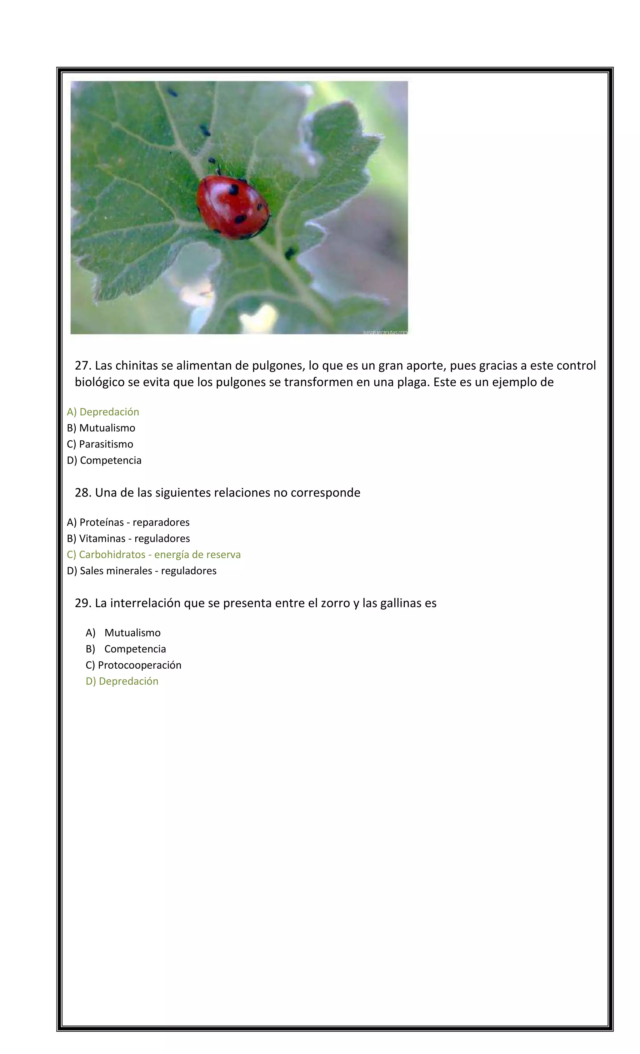 

27. Las chinitas se alimentan de pulgones, lo que es un gran aporte, pues gracias a este control
biológico se evita que los pulgones se transformen en una plaga. Este es un ejemplo de
A) Depredación
B) Mutualismo
C) Parasitismo
D) Competencia



28. Una de las siguientes relaciones no corresponde
A) Proteínas - reparadores
B) Vitaminas - reguladores
C) Carbohidratos - energía de reserva
D) Sales minerales - reguladores



29. La interrelación que se presenta entre el zorro y las gallinas es
A) Mutualismo
B) Competencia
C) Protocooperación
D) Depredación

1D -2B – 3 A – 4 B – 5 C - 6 A - 7 C - 8 C - 9D 10 A
11 D - 12 B – 13 B - 14 A – 15 A - 16 C - 17 D - 18 D - 19 D - 20 A
21 D – 22D – 23 A - 24 C - 25 D – 26 C - 27 A – 28 C - 29 D

 