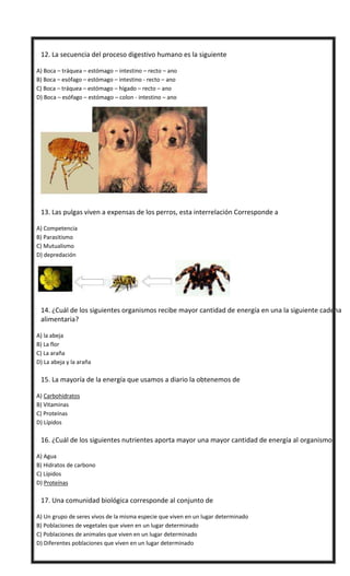  12. La secuencia del proceso digestivo humano es la siguiente
A) Boca – tráquea – estómago – intestino – recto – ano
B) ...
