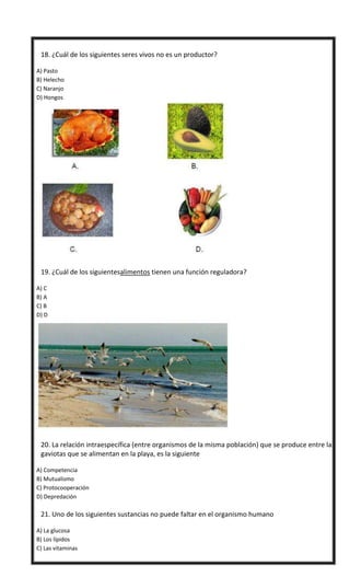  18. ¿Cuál de los siguientes seres vivos no es un productor?
A) Pasto
B) Helecho
C) Naranjo
D) Hongos
 19. ¿Cuál de los ...