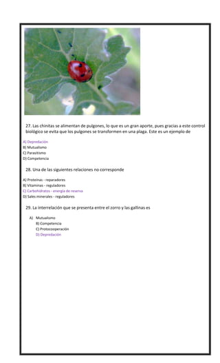 

27. Las chinitas se alimentan de pulgones, lo que es un gran aporte, pues gracias a este control
biológico se evita que los pulgones se transformen en una plaga. Este es un ejemplo de
A) Depredación
B) Mutualismo
C) Parasitismo
D) Competencia



28. Una de las siguientes relaciones no corresponde
A) Proteínas - reparadores
B) Vitaminas - reguladores
C) Carbohidratos - energía de reserva
D) Sales minerales - reguladores



29. La interrelación que se presenta entre el zorro y las gallinas es
A) Mutualismo
B) Competencia
C) Protocooperación
D) Depredación

1D -2B – 3 A – 4 B – 5 C - 6 A - 7 C - 8 C - 9D 10 A
11 D - 12 B – 13 B - 14 A – 15 A - 16 C - 17 D - 18 D - 19 D - 20 A
21 D – 22D – 23 A - 24 C - 25 D – 26 C - 27 A – 28 C - 29 D

 