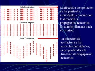 La dirección de oscilación
de las partículas
individuales coincide con
la dirección de
propagación de la onda.
Es también llamada onda
de presión.
La dirección de
oscilación de las
partículas individuales,
es perpendicular a la
dirección de propagación
de la onda
 