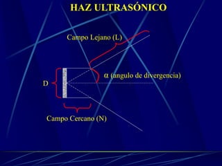 HAZ ULTRASÓNICO
Campo Cercano (N)
D
Campo Lejano (L)
α (angulo de divergencia)
 