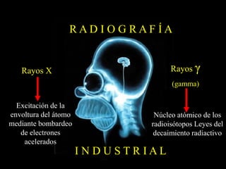 R A D I O G R A F Í A
I N D U S T R I A L
Rayos X Rayos γ
(gamma)
Excitación de la
envoltura del átomo
mediante bombardeo
de electrones
acelerados
Núcleo atómico de los
radioisótopos Leyes del
decaimiento radiactivo
 