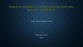 ENSAYO SOBRE LA CONTAMINACIÓN DEL
MEDIO AMBIENTE
Carlos Alberto ibarguen leudo
Institución
Gabriela mistral
2015
 