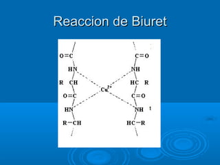 Reaccion de Biuret
 
