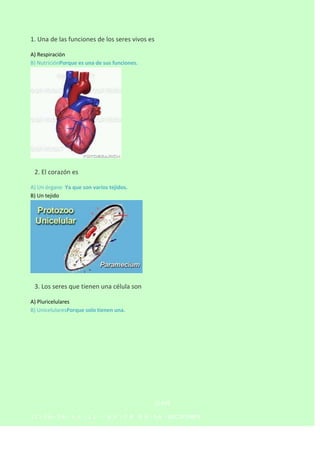1. Una de las funciones de los seres vivos es
A) Respiración
B) NutriciónPorque es una de sus funciones.



2. El corazón es
A) Un órgano Ya que son varios tejidos.
B) Un tejido



3. Los seres que tienen una célula son
A) Pluricelulares
B) UnicelularesPorque solo tienen una.

CLAVE
1C–2A–3A– 4 A - 5 C–

6 A - 7 B - 8 A - 9 A - 10 C 1º PARTE

 