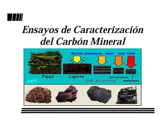 Ensayos de Caracterización
   del Carbón Mineral
 