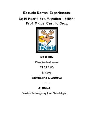 Escuela Normal Experimental
De El Fuerte Ext. Mazatlán “ENEF”
Prof. Miguel Castillo Cruz.
MATERIA:
Ciencias Naturales.
TRABAJO:
Ensayo.
SEMESTRE & GRUPO:
2. C
ALUMNA:
Valdes Echeagaray Itzel Guadalupe.
 