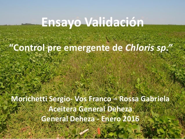 Ensayo Validación
“Control pre emergente de Chloris sp.”
Morichetti Sergio- Vos Franco – Rossa Gabriela
Aceitera General D...