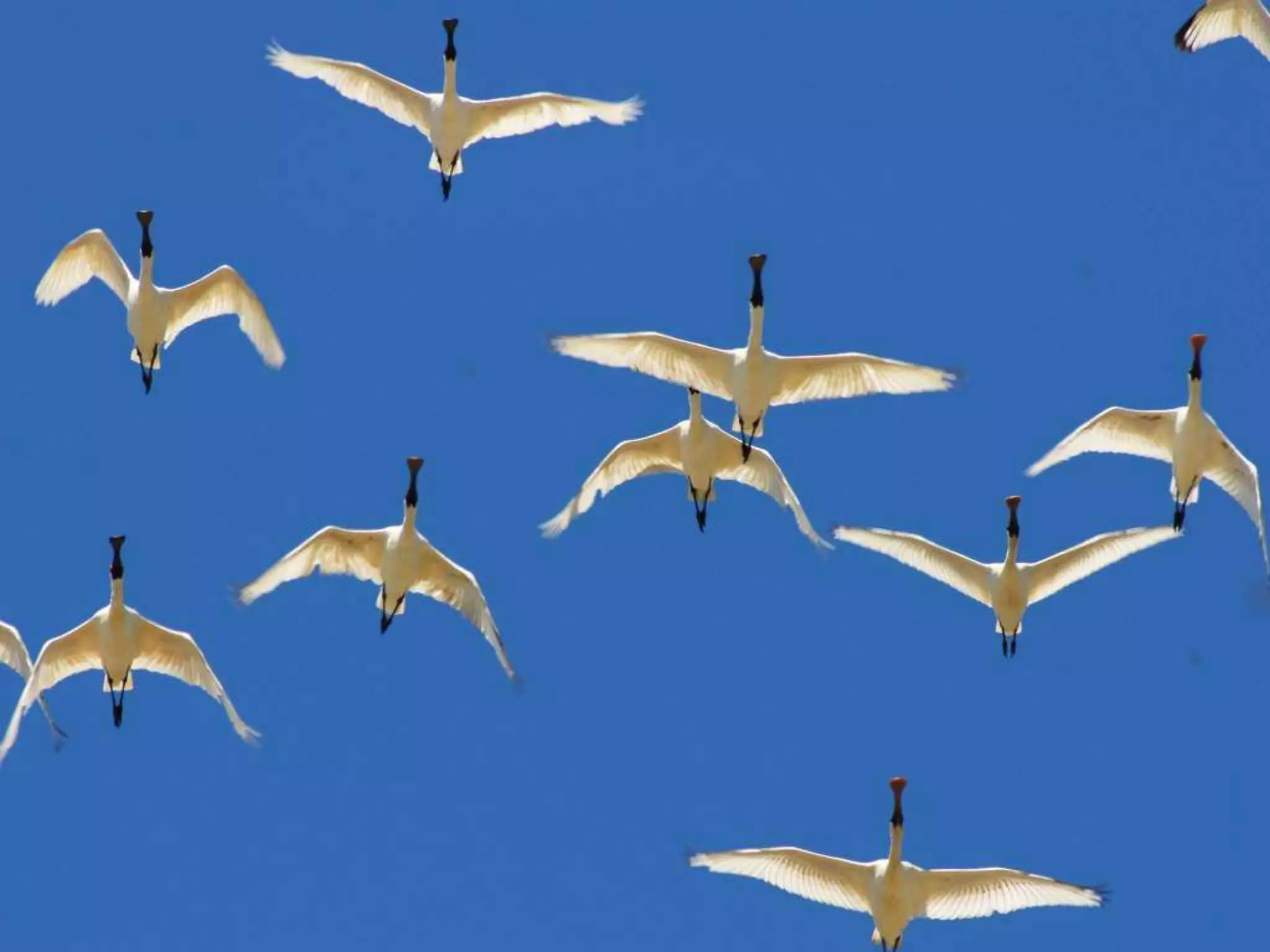 Home   Organisatie   Natuurbescherming   Projecten   Marketing en Communicatie   Contact
 