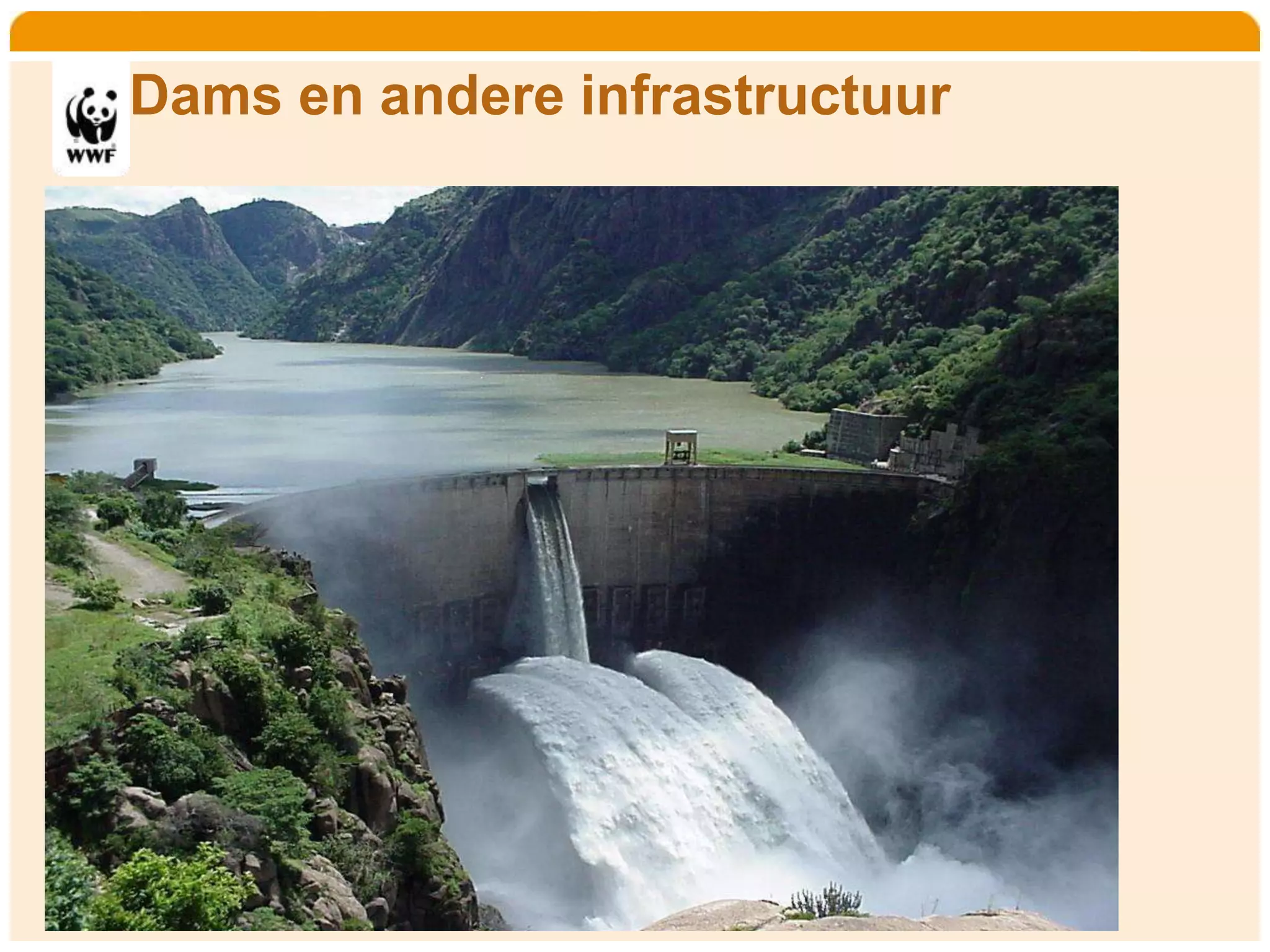 Home    Organisatie   Natuurbescherming   Projecten   Marketing en Communicatie   Contact


       Dams en andere infrastructuur
 