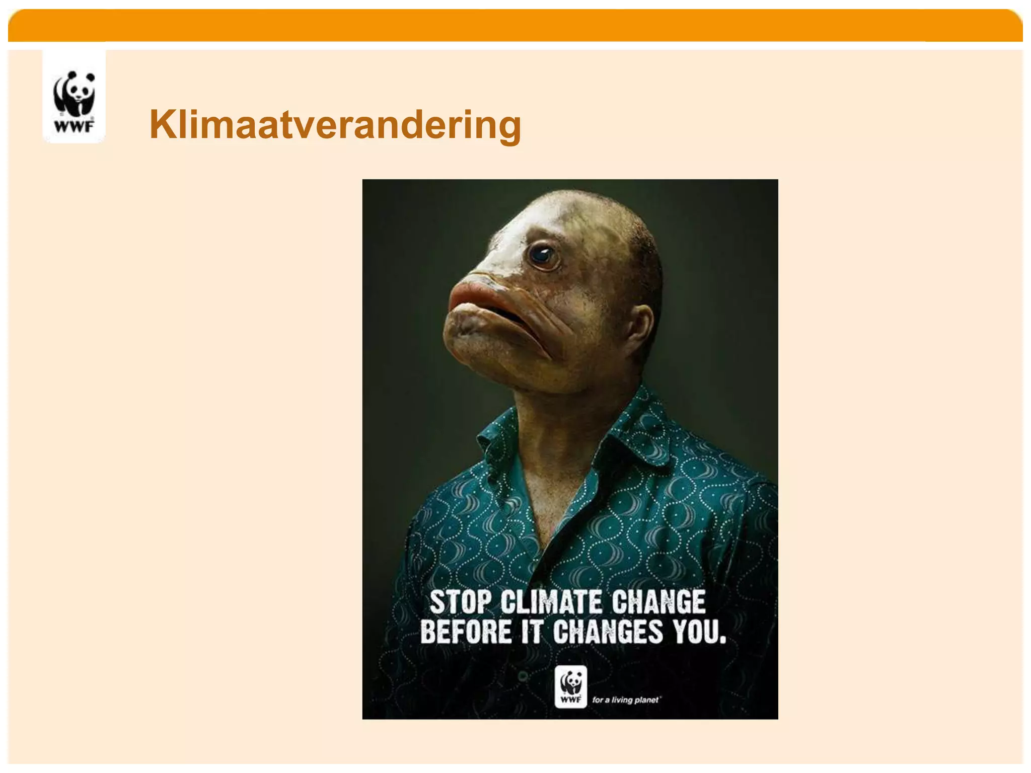 Home   Organisatie   Natuurbescherming   Projecten   Marketing en Communicatie   Contact




        Klimaatverandering
 